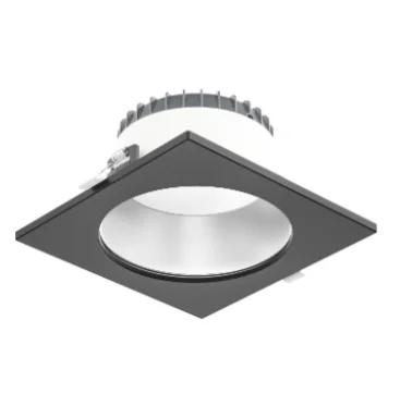 Roblan DOWNL ACCESS